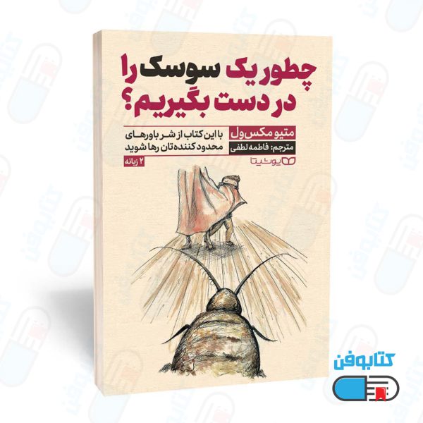 کتاب چطور یک سوسک را در دست بگیریم؟ اثر متیو مکس ول و به ترجمه فاطمه لطفی