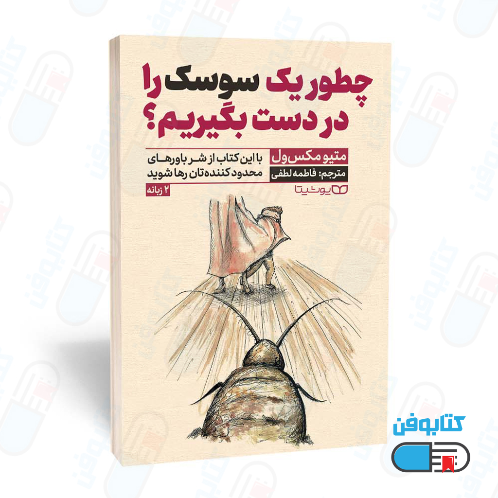 کتاب چطور یک سوسک را در دست بگیریم؟ اثر متیو مکس ول و به ترجمه فاطمه لطفی